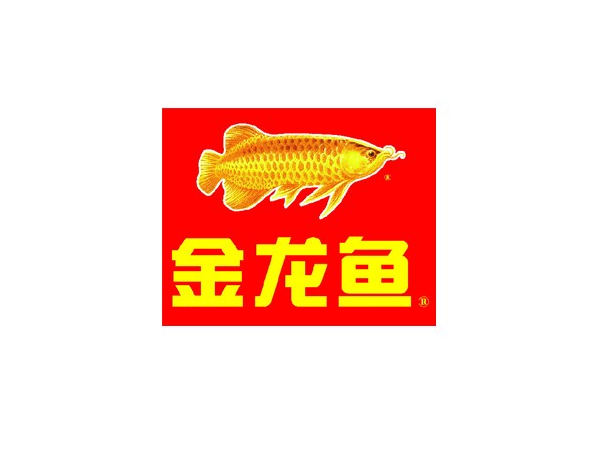 金龍魚.jpg